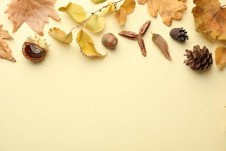 Dry leaves and other autumn decor on beige background, flat lay. Space for textの写真素材