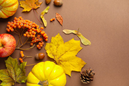 Dry autumn leaves, pumpkins, apple, acorns, pine cone and rowan berries on dark beige background, flat lay. Space for textの写真素材