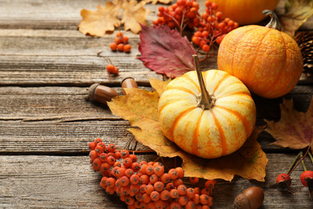 Dry autumn leaves, pumpkins, acorns, pine cone and berries on wooden table, closeup. Space for textの写真素材