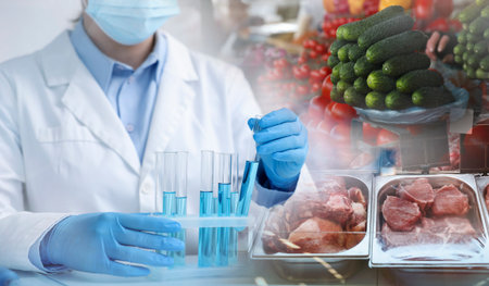 Laboratory food analysis. Expert taking test tube, multiple exposure with vegetables and meatの写真素材