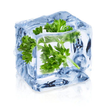 Fresh green parsley in clear ice cube on white backgroundの写真素材