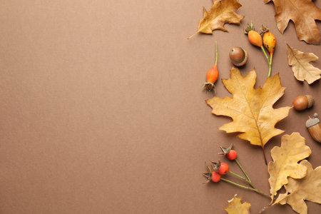 Dry autumn leaves, rose hip berries and acorns on dark beige background, flat lay. Space for text