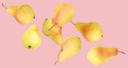 Many fresh pears falling on pink backgroundの写真素材