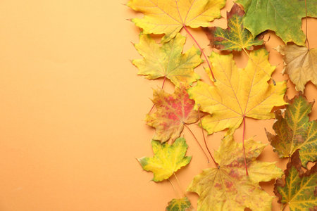 Beautiful autumn leaves on pale orange background, flat lay. Space for text