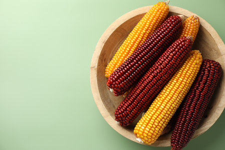 Red and yellow corn cobs on light green table, top view.の写真素材