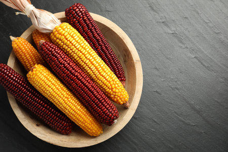 Red and yellow corn cobs in bowl on dark textured table, top view. Space for text