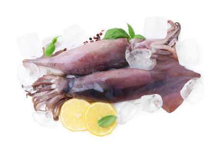 Raw squids, ice cubes, lemon slices, peppercorns and basil isolated on white, top viewの写真素材