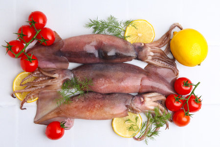 Raw squids, tomatoes, lemon slices and dill on white tiled table, flat lay