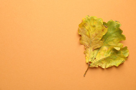 Beautiful autumn leaves on pale orange background, top view. Space for text