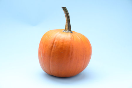 Whole ripe pumpkin on light blue backgroundの写真素材