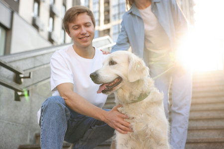 Couple with their adorable golden retriever dog in on stairs outdoors, closeupの写真素材