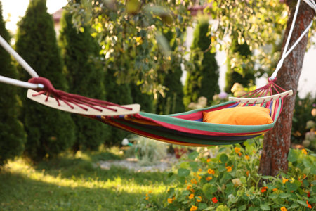 Comfortable cushion on colorful hammock in gardenの写真素材