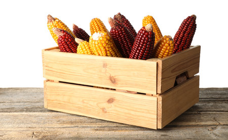 Fresh red and yellow corn cobs in crate on wooden table against white backgroundの写真素材