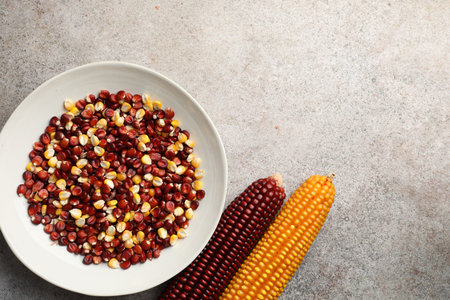 Red and yellow corn cobs with kernels on gray textured table, flat lay. Space for text