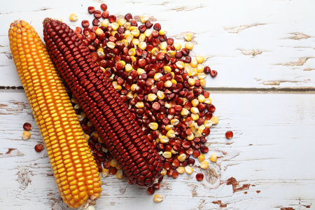 Red and yellow corn cobs with kernels on light wooden table, flat lay