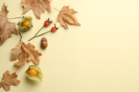 Dry autumn leaves, rose hip berries, acorn and physalis on beige background, flat lay. Space for textの写真素材