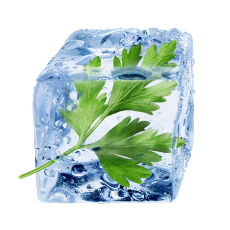 Fresh green parsley in clear ice cube on white backgroundの写真素材