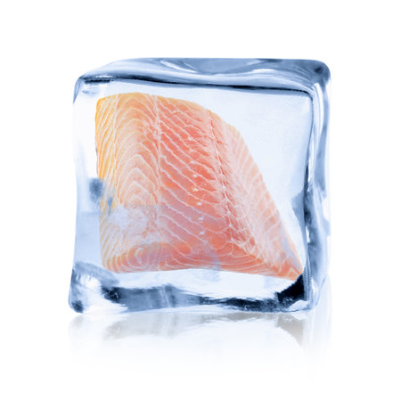 Fresh raw salmon fillet in ice cube on white backgroundの写真素材