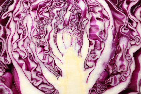 Cut red cabbage as background, closeup viewの写真素材