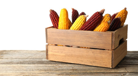 Fresh red and yellow corn cobs in crate on wooden table against white background. Space for textの写真素材