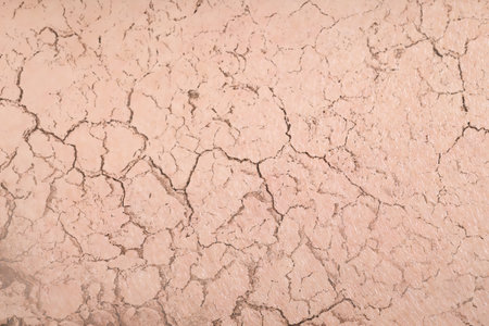 Dry skin presented as double exposure with cracked soilの写真素材