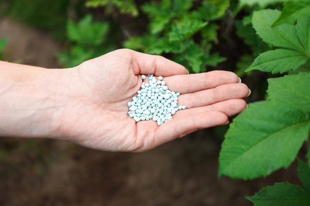 Person with fertilizer near plant outdoors, closeup. Gardening timeの写真素材