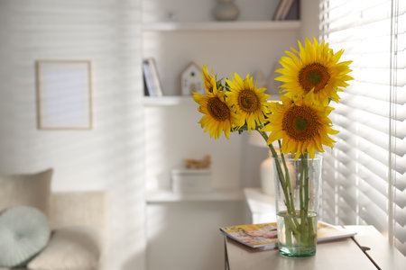 Beautiful sunflowers in vase near window indoors. Space for textの写真素材