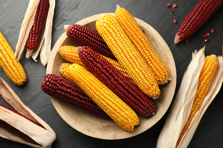 Red and yellow corn cobs in bowl on dark textured table, flat lay