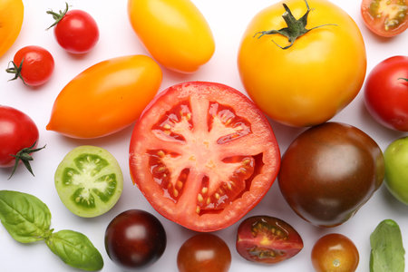 Ripe colorful tomatoes and basil on white background, flat layの写真素材