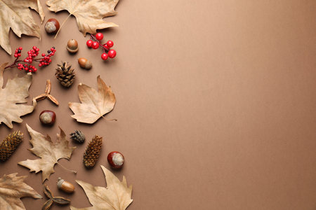 Dry autumn leaves, chestnuts, red berries, pine cones and acorns on dark beige background, flat lay....