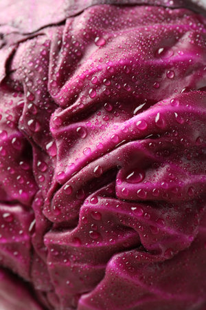 Fresh red cabbage with water drops as background, closeupの写真素材