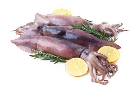 Raw squids, rosemary and lemon slices isolated on whiteの写真素材