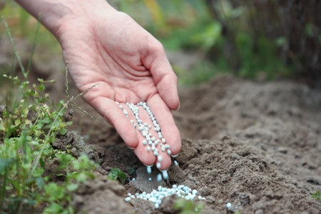 Gardening time. Woman pouring fertilizer into soil outdoors, closeup. Space for text