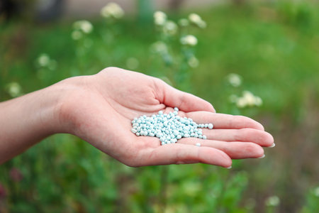 Woman with fertilizer near plant outdoors, closeup. Gardening timeの写真素材