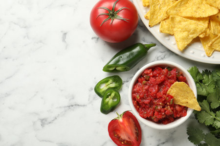 Tasty salsa in bowl, ingredients and nachos on white marble table, flat lay. Space for textの写真素材