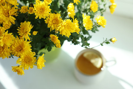 Beautiful yellow chrysanthemum flowers in pot and cup on white table, closeupの写真素材