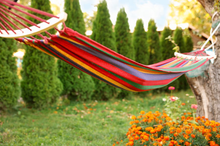 One comfortable colorful hammock hanging in gardenの写真素材