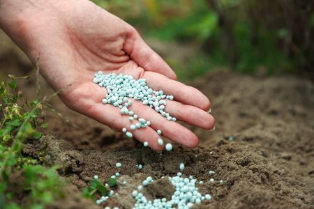 Gardening time. Woman pouring fertilizer into soil outdoors, closeup. Space for textの写真素材