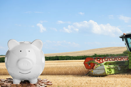 Piggy bank and coins against field with combine harvesterの写真素材