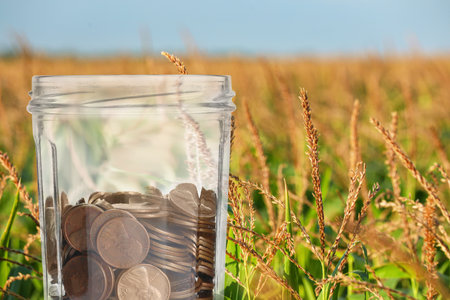 Jar with coins against corn fieldの写真素材