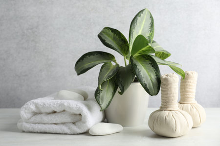 Herbal bags, towel, spa stones and houseplant on table against light gray background, closeupの写真素材