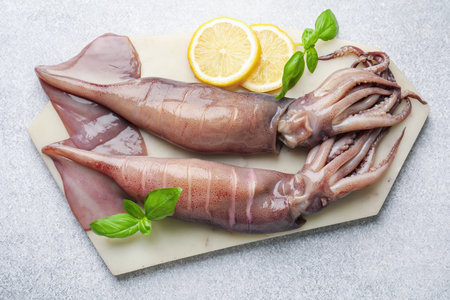 Raw squids, lemon and basil on light gray table, top viewの写真素材
