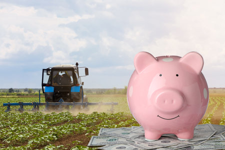 Piggy bank and dollars against field with tractorの写真素材