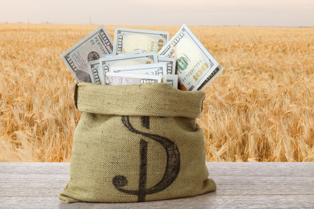 Bag with dollars against wheat fieldの写真素材
