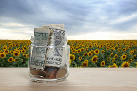 Jar with dollars and coins against sunflower fieldの写真素材