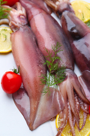 Raw squids, tomato, lemon slices and dill on white tiled table, closeup