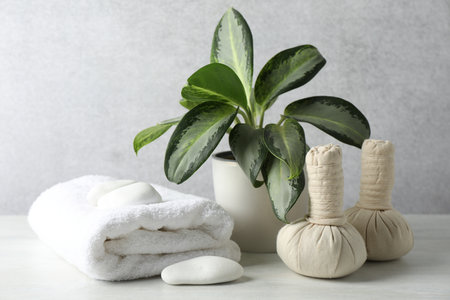 Herbal bags, towel, spa stones and houseplant on table against light gray background, closeupの写真素材