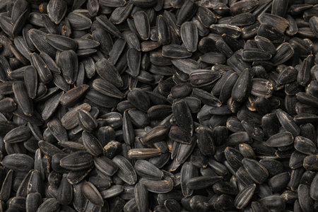 Unpeeled sunflower seeds as background, closeup view