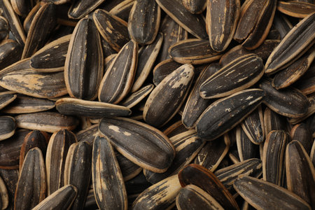 Unpeeled sunflower seeds as background, closeup viewの写真素材