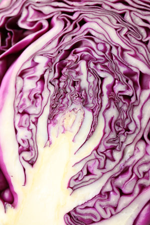 Cut red cabbage as background, closeup viewの写真素材